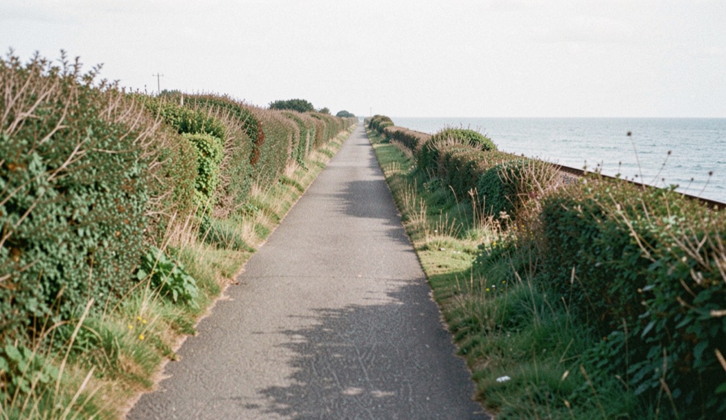 Straight cinder surfaced trackbed between hedgerows on a former railway embankment with the sea visible to one side