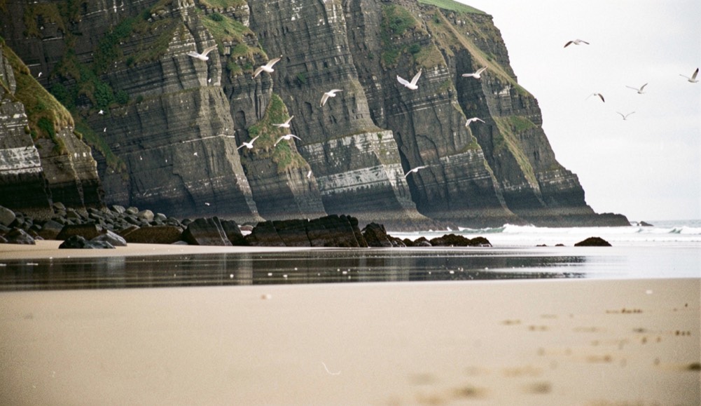 Flat wet sand at low tide with dark rock ledges exposed at the foot of a high crumbling cliff and gulls overhead